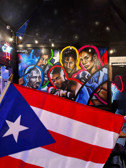 5 LEYENDA DEL BOXEO DE PUERTO RICO