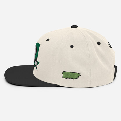 PR STAR GREEN Snapback Hat