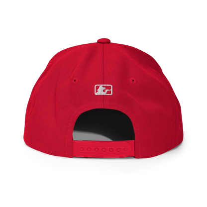 PR STAR ALL RED Snapback Hat