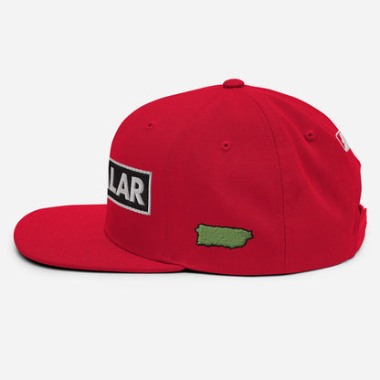 ROBGALAR Snapback Hat