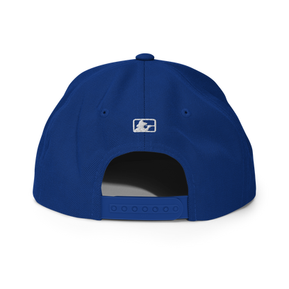 PR STAR ALL BLUE Snapback Hat