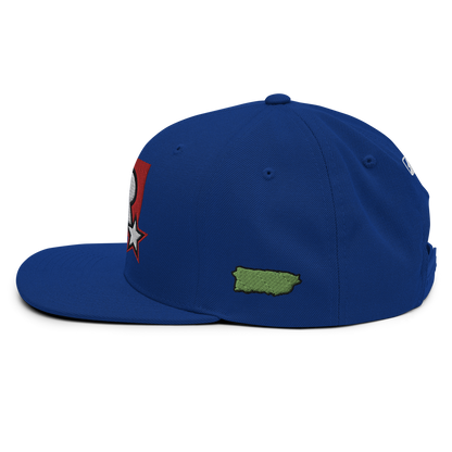 PR STAR ALL BLUE Snapback Hat